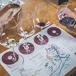 Sibav Wine&tourism * Dobrovo