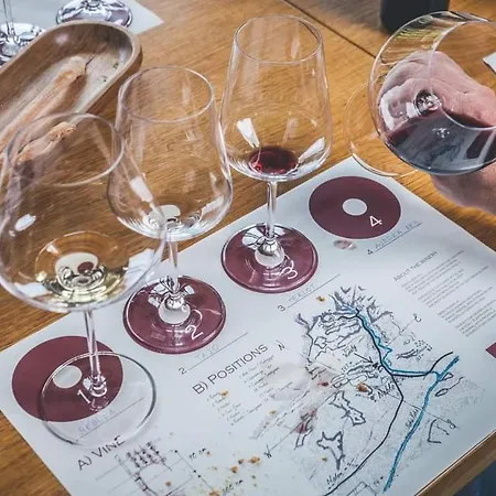 Sibav Wine&Tourism B&B * دوبروفو