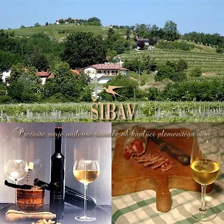 Sibav Wine&tourism * Dobrovo