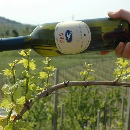 مزرعة للإقامة Sibav Wine&Tourism B&B *