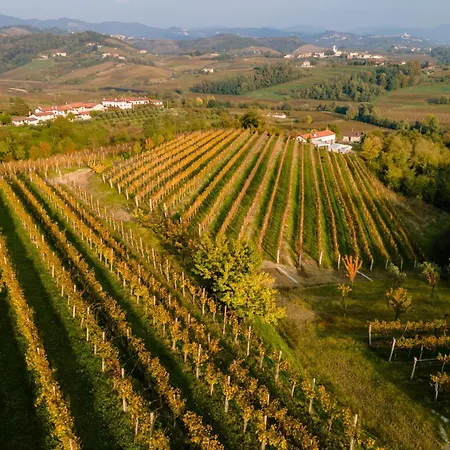 Sibav Wine&tourism Dobrovo
