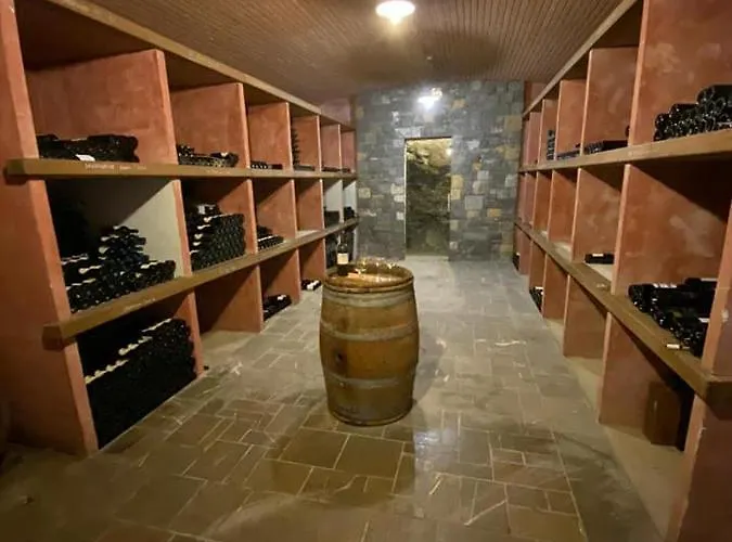 בית חווה Sibav Wine&Tourism B&B