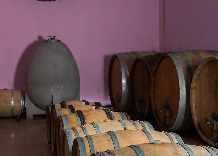 مزرعة للإقامة Sibav Wine&Tourism B&B دوبروفو