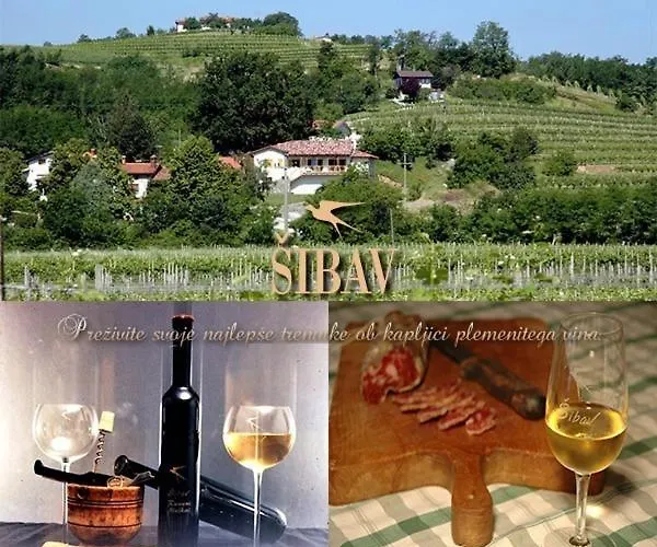 Sibav Wine&Tourism B&B * دوبروفو