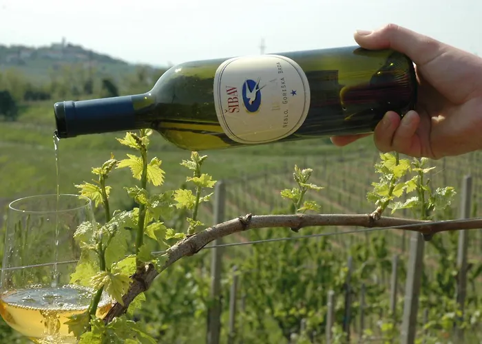 בית חווה Sibav Wine&Tourism B&B *