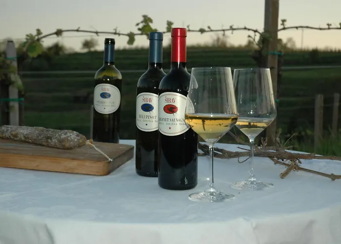 בית חווה Sibav Wine&Tourism B&B דוברובו